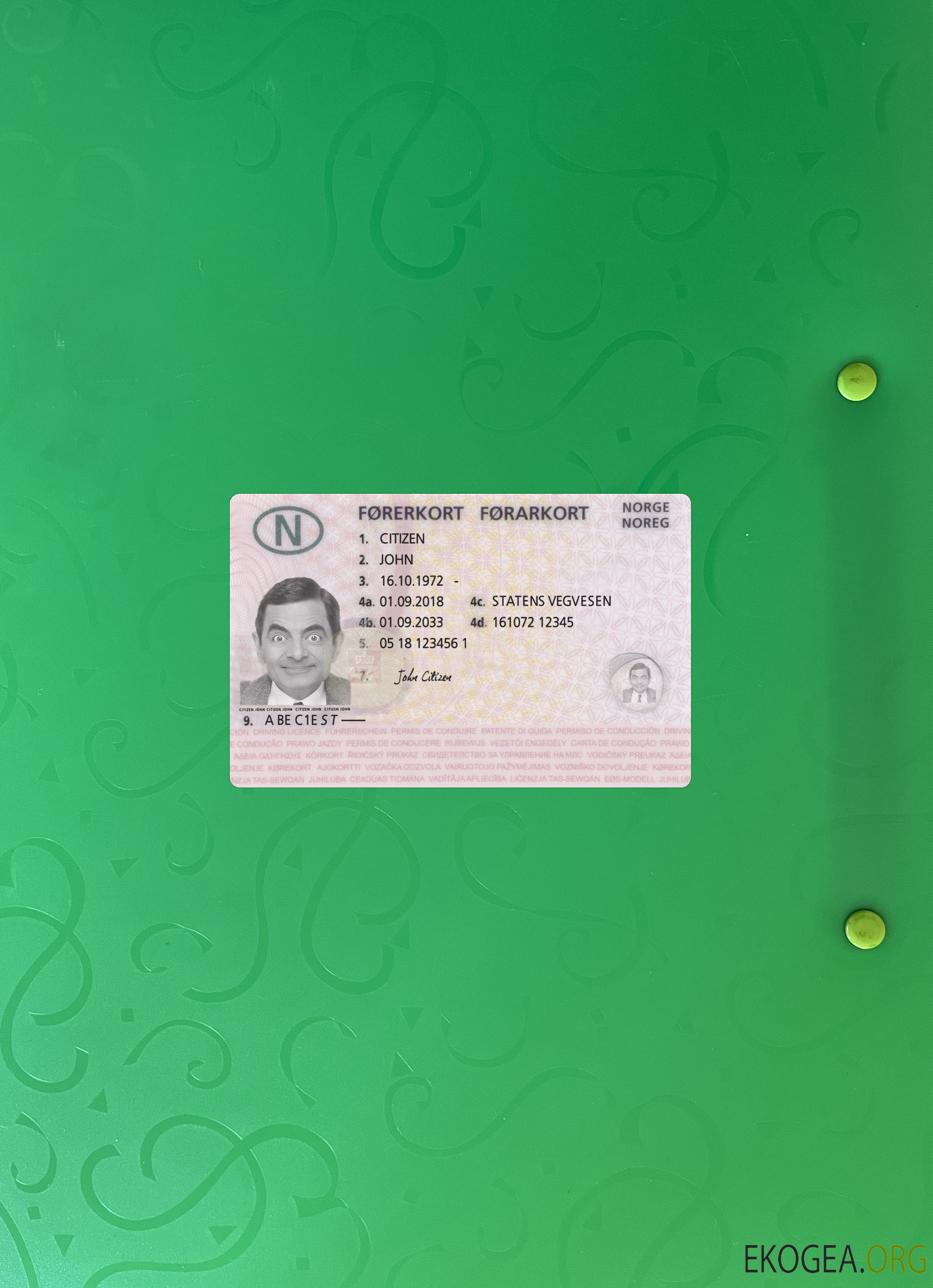 Permis de conduire norvégien 2018 présent photolook recto